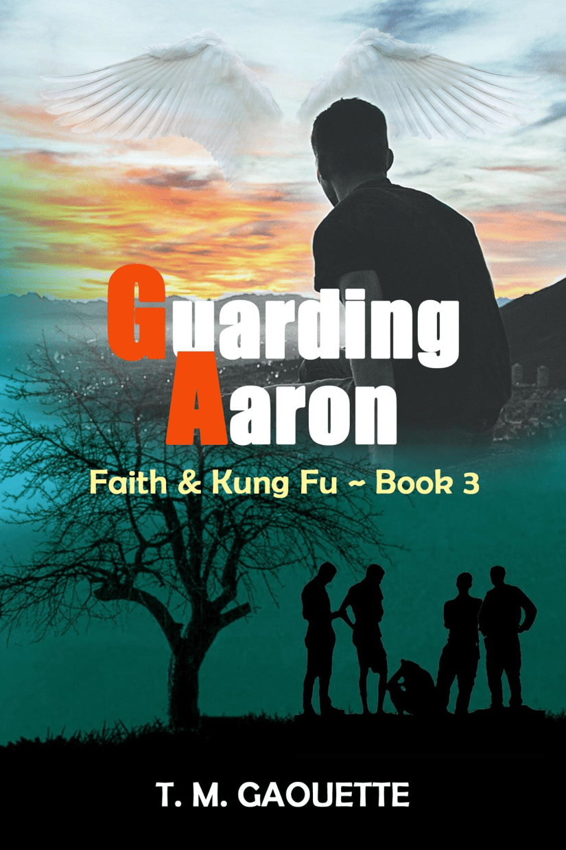 Guarding Aaron Book Cover